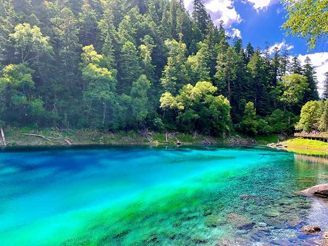 特惠跟团测试标题5
